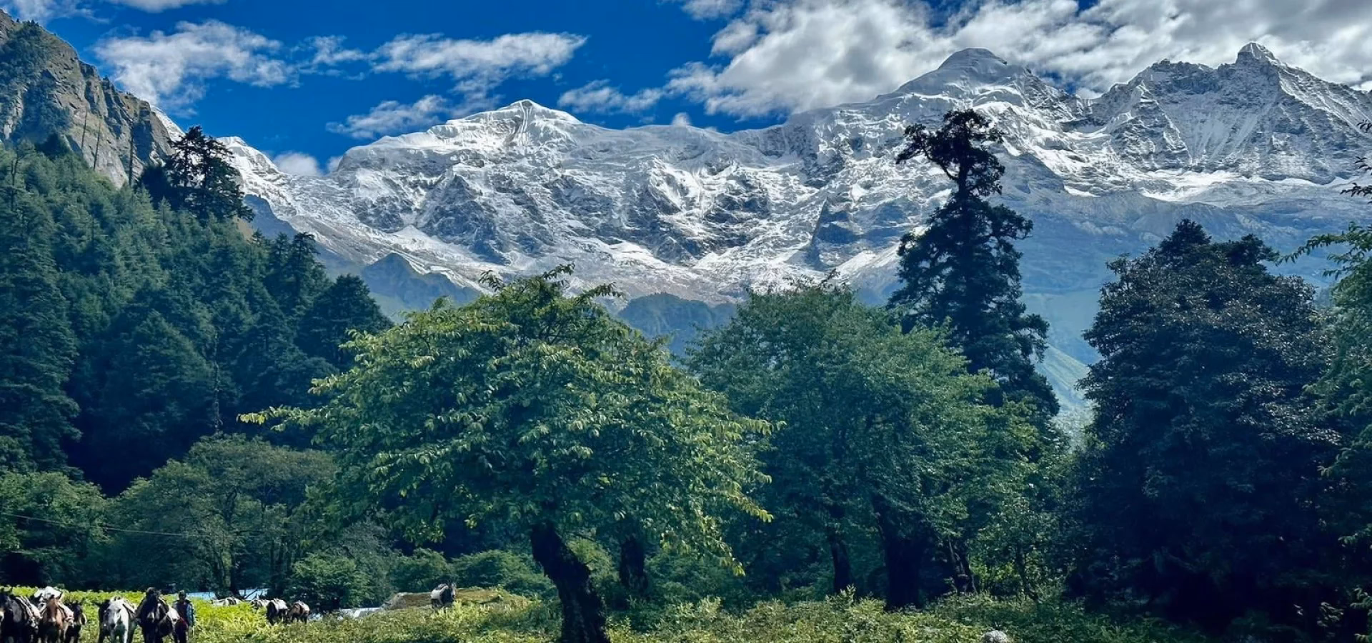 Manaslu Circuit Trek via Larkya pass (5,160m)
