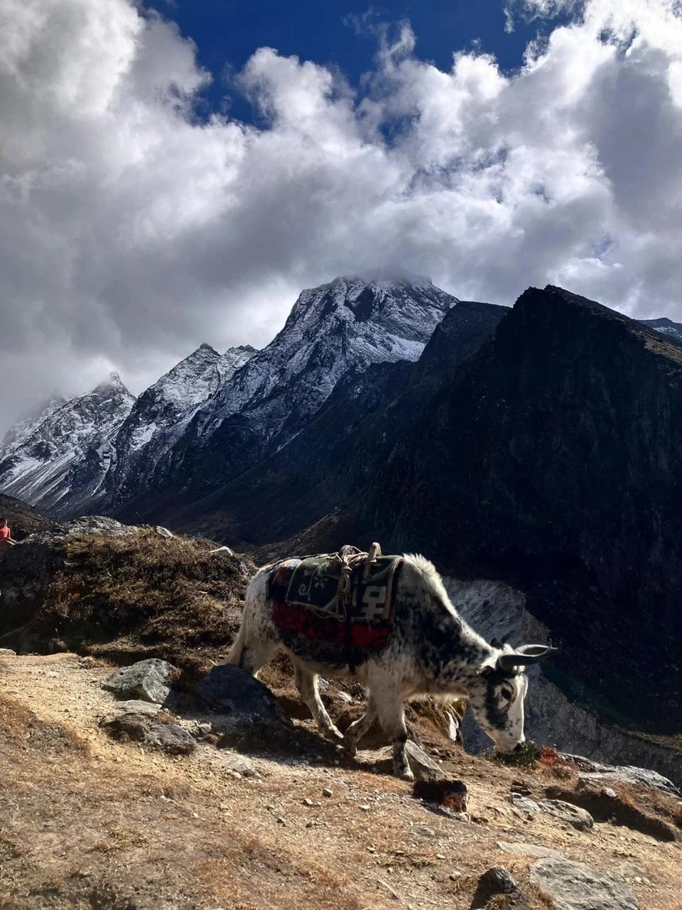 Amadablam Basecamp Trek
