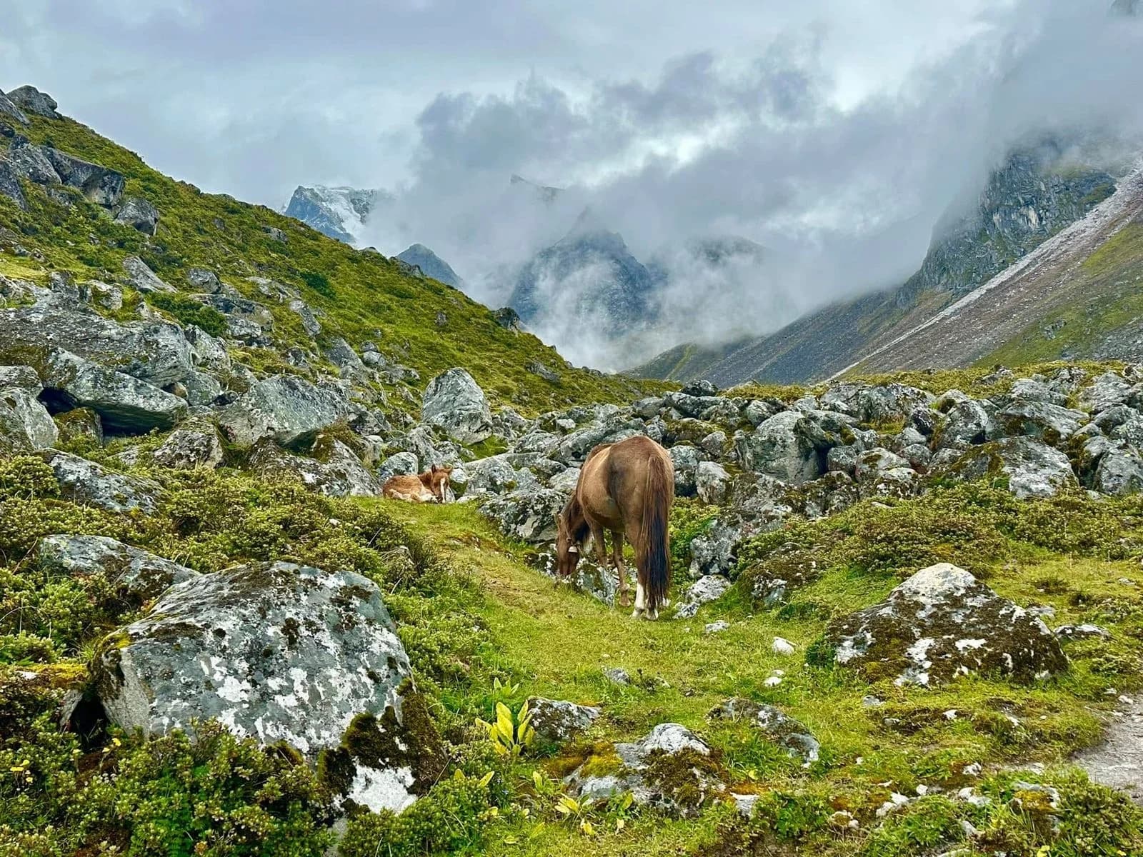 Manaslu Circuit Trek via Larkya pass (5,160m)