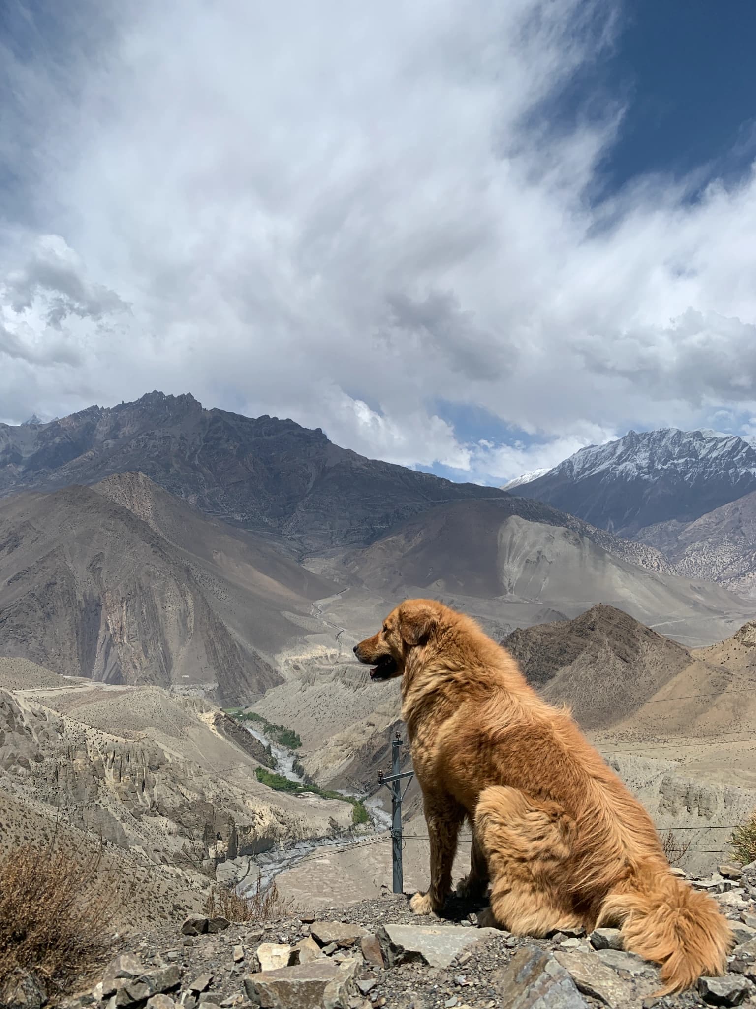 Annapurna Circuit Trek via Thorang la (5,416m)