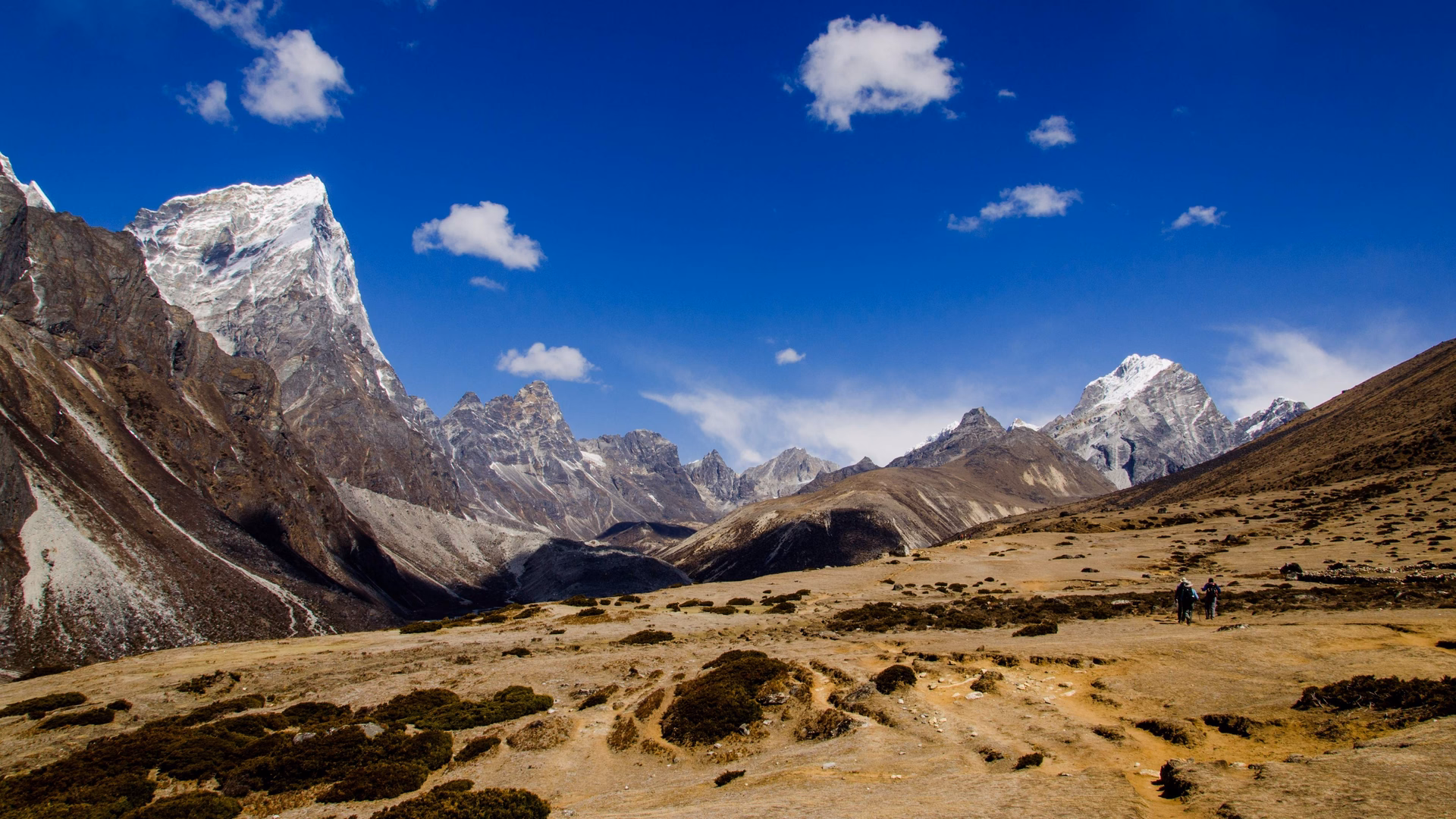 Mt. Pumori (7,165m) Expeditions