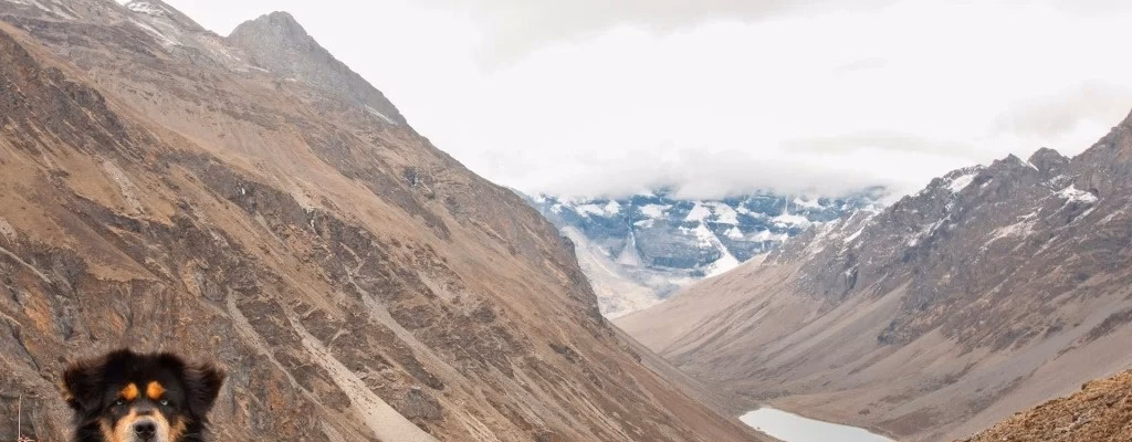 Tharpu Chuli Peak (5,695m)